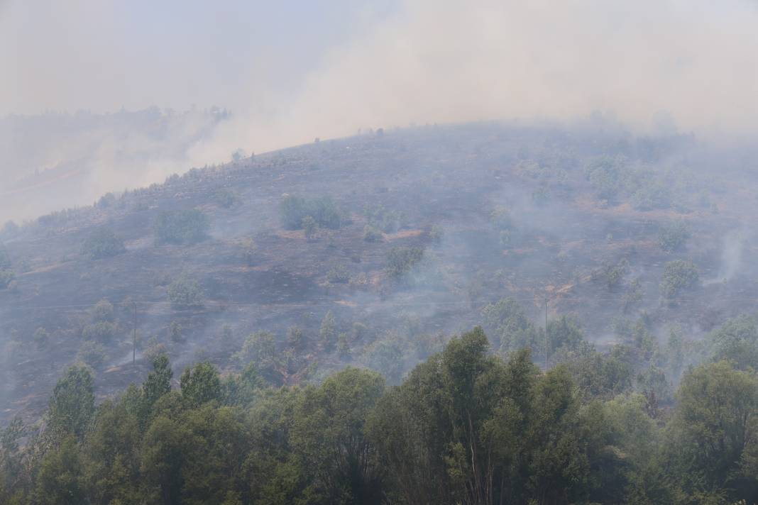 Elazığ'da orman yangını 42